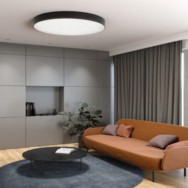 BS1114_BIG SIZE PRO next surface