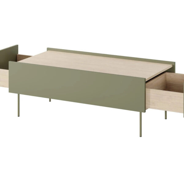 DESIN-Lawa-120-2SZ-oliwka_dab-na(2)