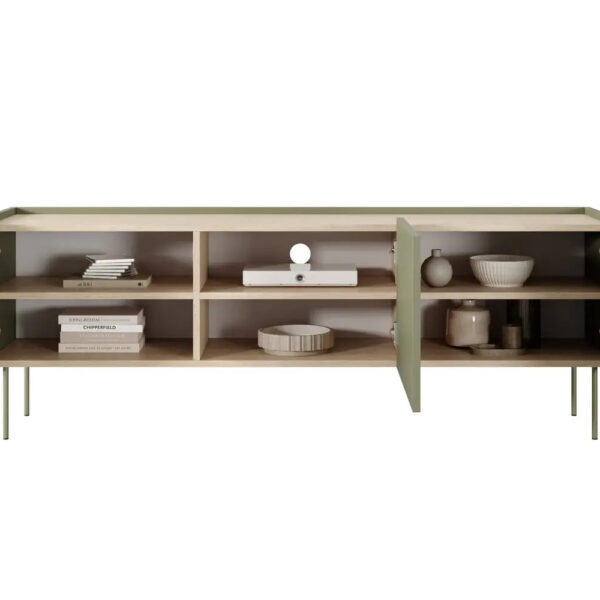 DESIN-RTV-170-3D-oliwka_dab-naga(2)