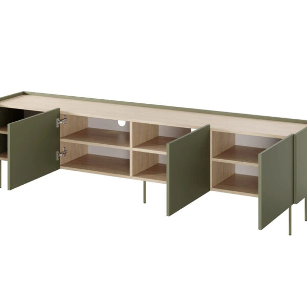 DESIN-RTV-220-4D-oliwka_dab-naga(1)